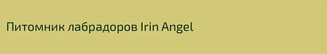 Питомник лабрадоров Irin Angel